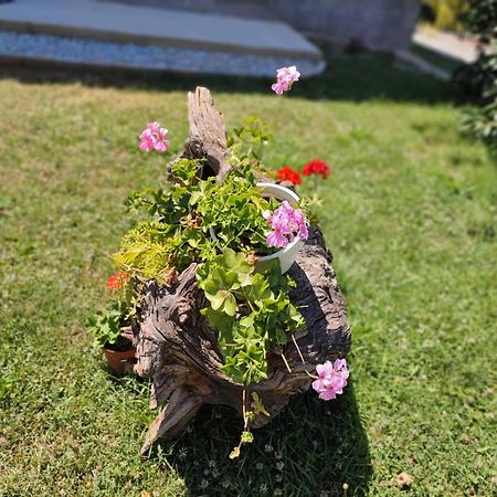 Villa Karolina Ohrid Eksteriør bilde