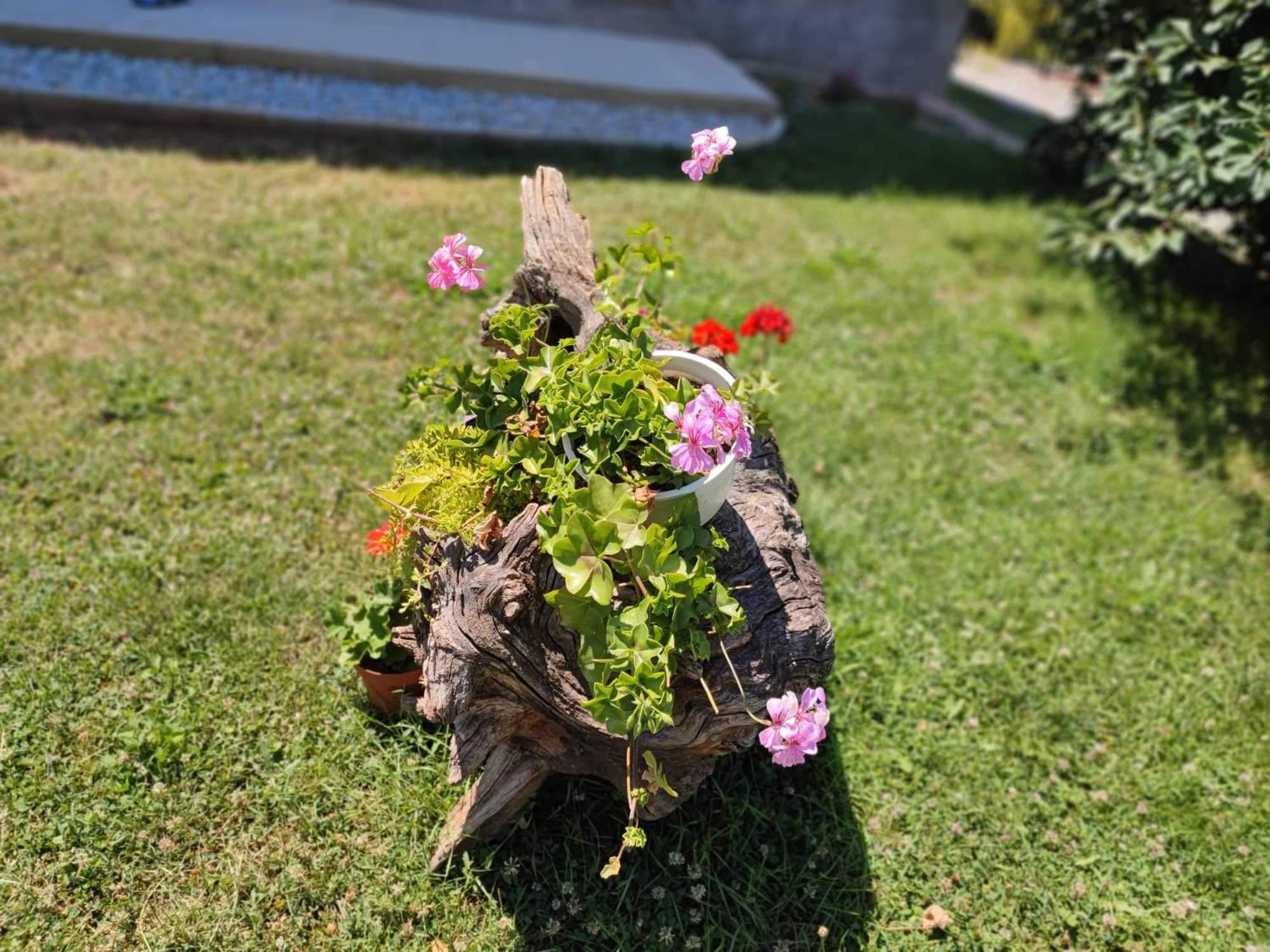 Villa Karolina Ohrid Eksteriør bilde